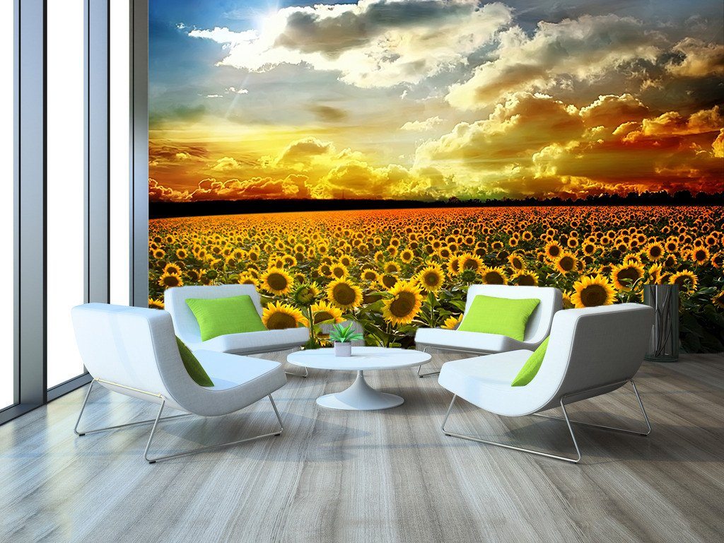 Boundless Sunflowers Field 1 Wallpaper AJ Wallpaper