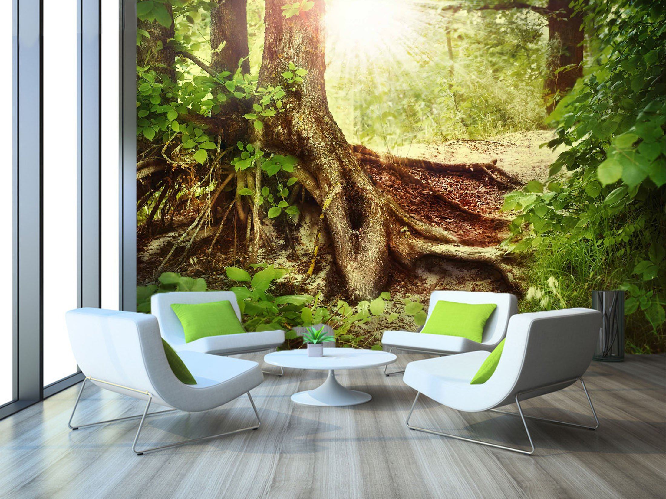 3D Tree Root Sunlight 672 Wallpaper AJ Wallpaper
