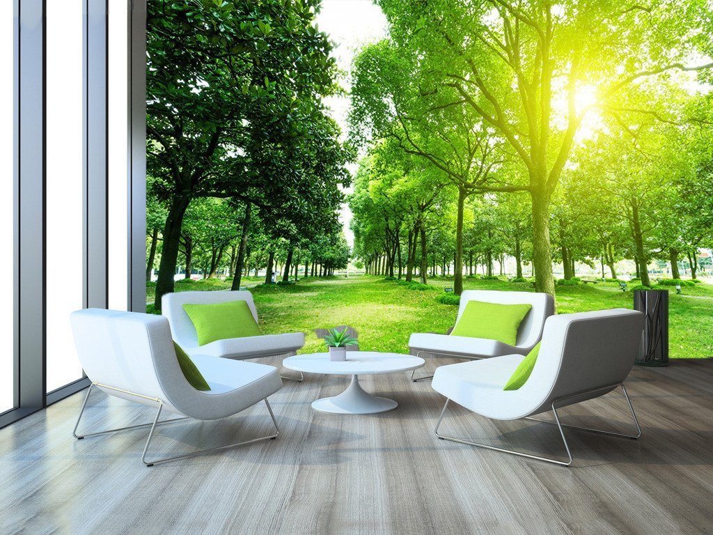 3D Sunshine Forest 34 Wallpaper AJ Wallpaper