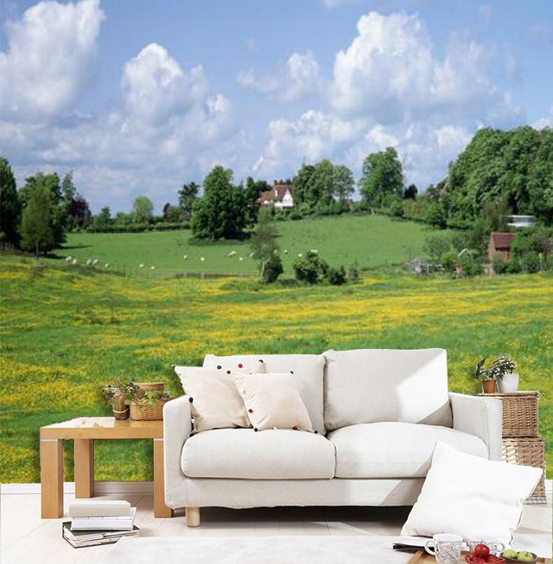 Green Grassland 36 Wallpaper AJ Wallpaper 1