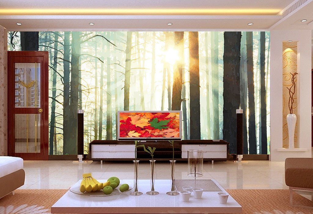 Forest Sunshine Wallpaper AJ Wallpaper