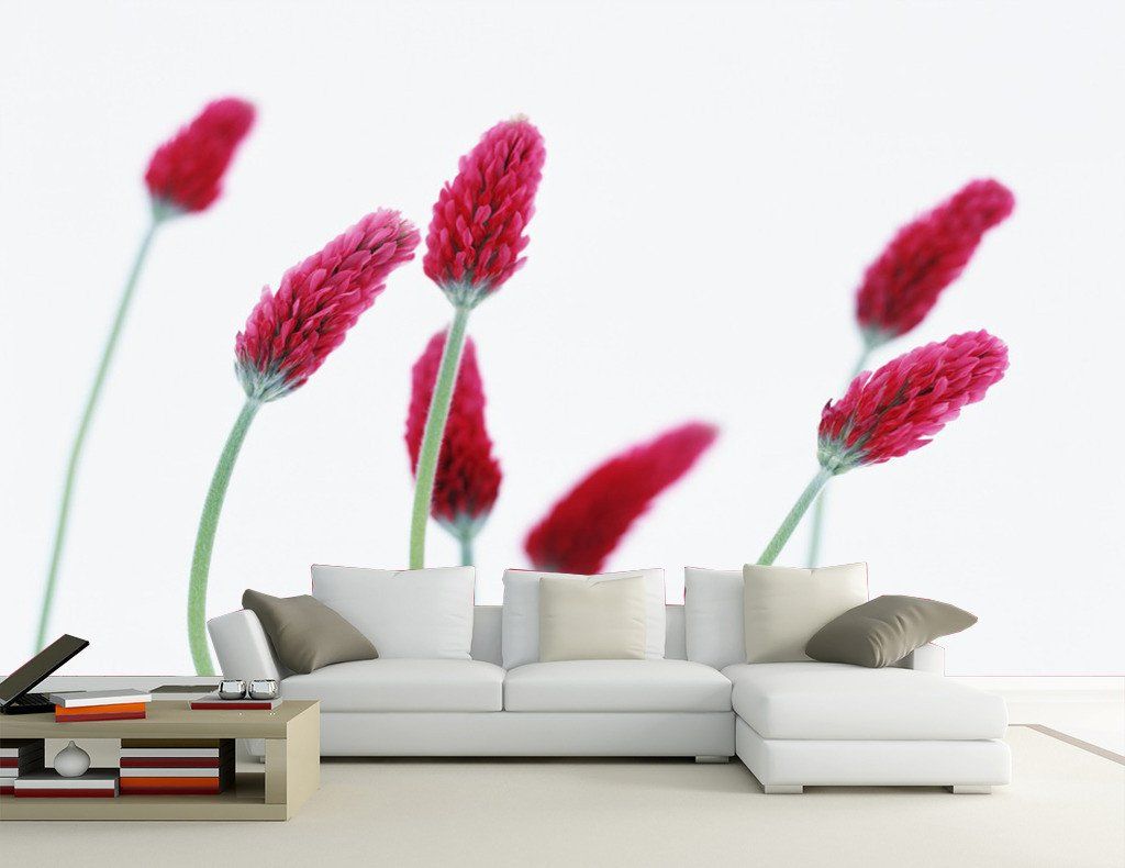 Swaying Red Flowers 1 Wallpaper AJ Wallpaper