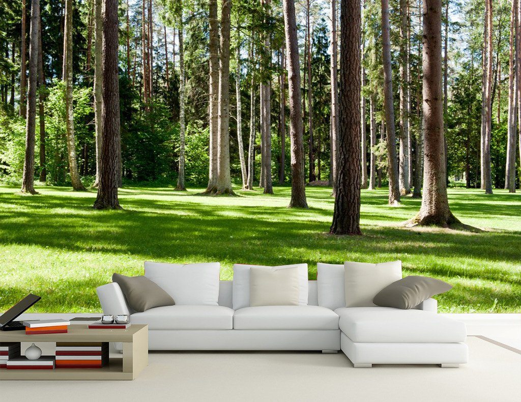 Grassland 1 Wallpaper AJ Wallpaper