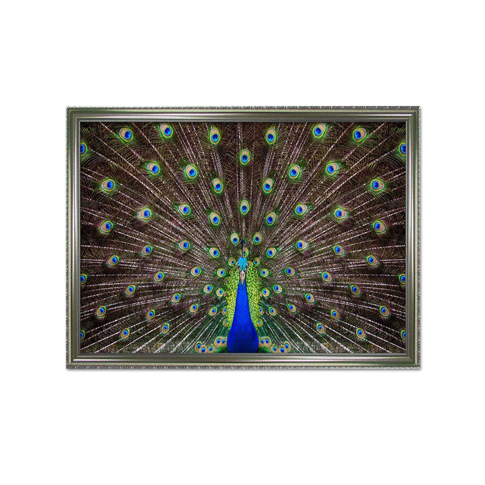 3D Peacock Open Screen 081 Fake Framed Print Painting Wallpaper AJ Creativity Home