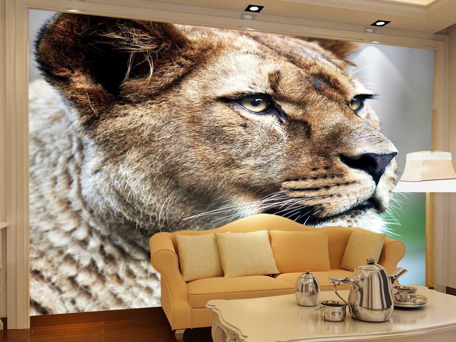 Staring Tiger Wallpaper AJ Wallpaper