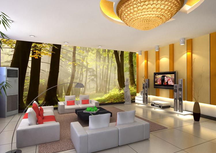 Forest Trees 3 Wallpaper AJ Wallpaper