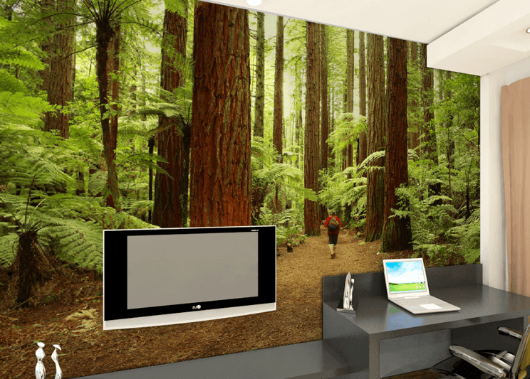 Deep Forest Wallpaper AJ Wallpaper