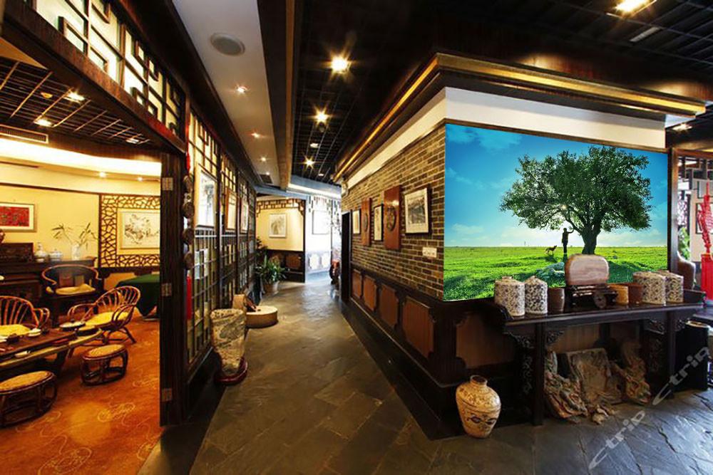 Boundless Pastures Wallpaper AJ Wallpaper