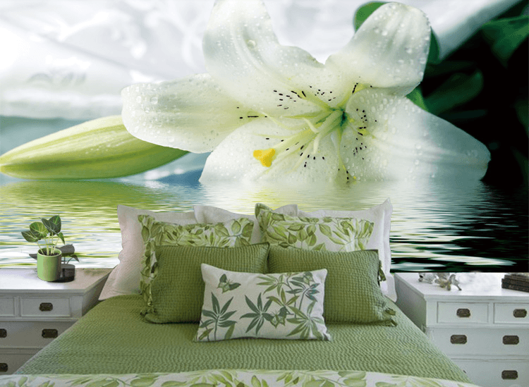 Fresh Lily Wallpaper AJ Wallpaper