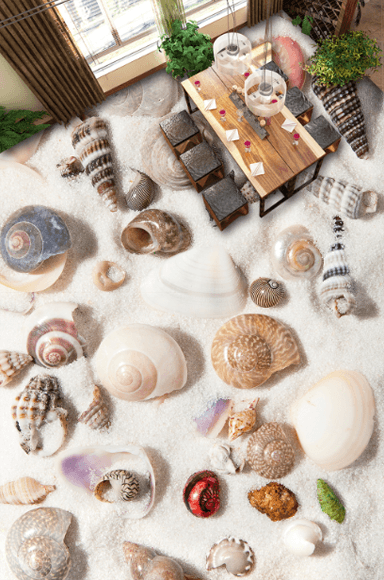 3D Shells And Conch Floor Mural Wallpaper AJ Wallpaper 2
