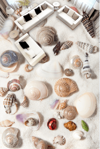 3D Shells And Conch Floor Mural Wallpaper AJ Wallpaper 2