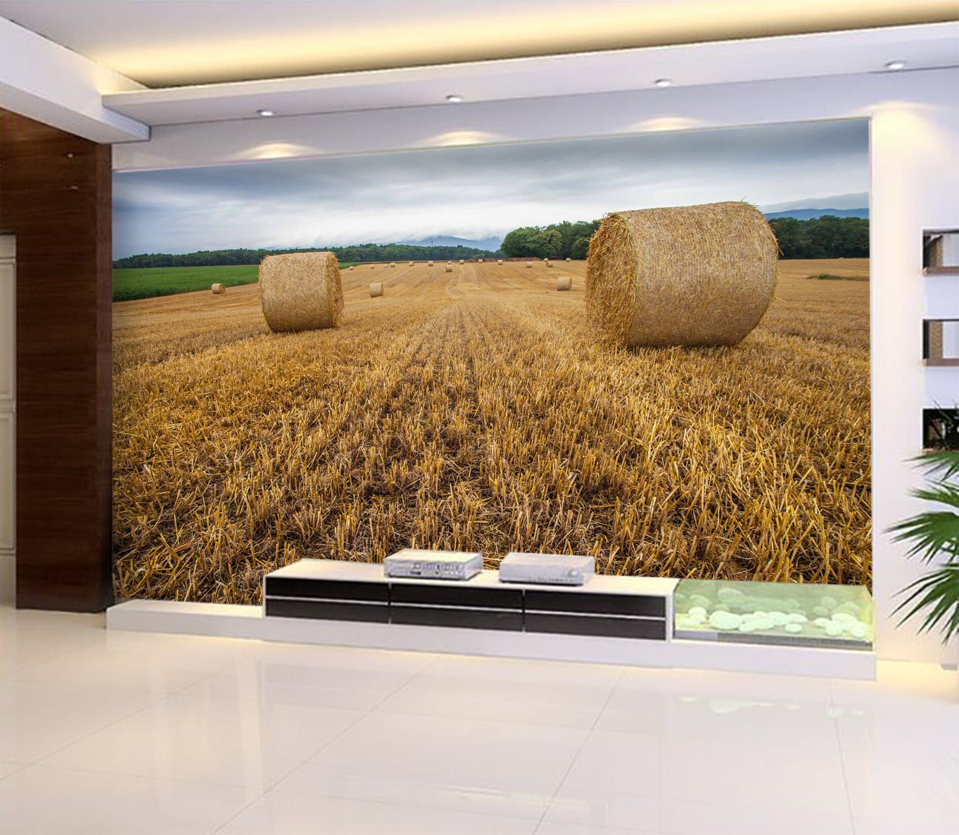3D Golden Field 1033 Wall Murals Wallpaper AJ Wallpaper 2