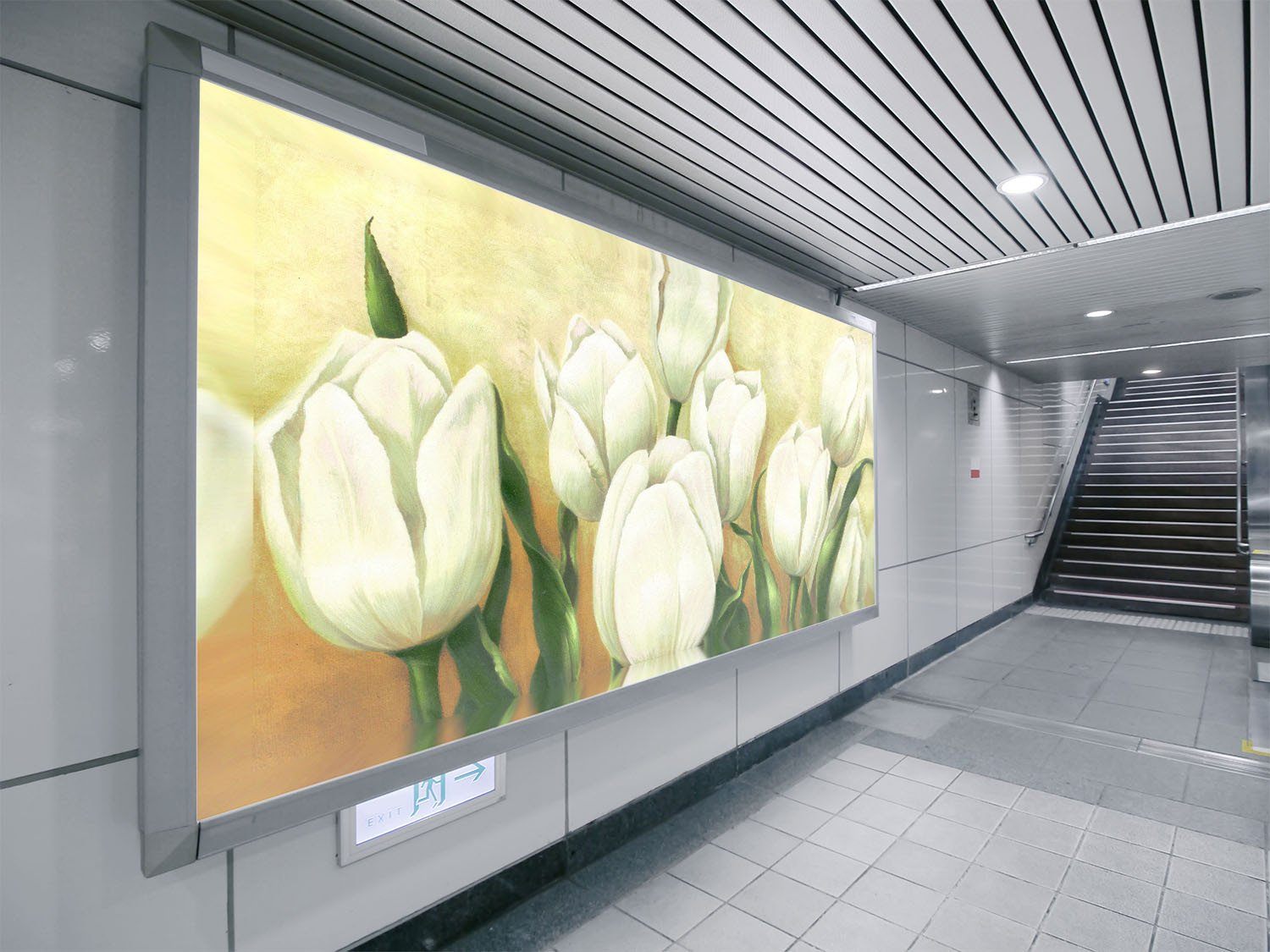 Tulips Buds Wallpaper AJ Wallpaper 2