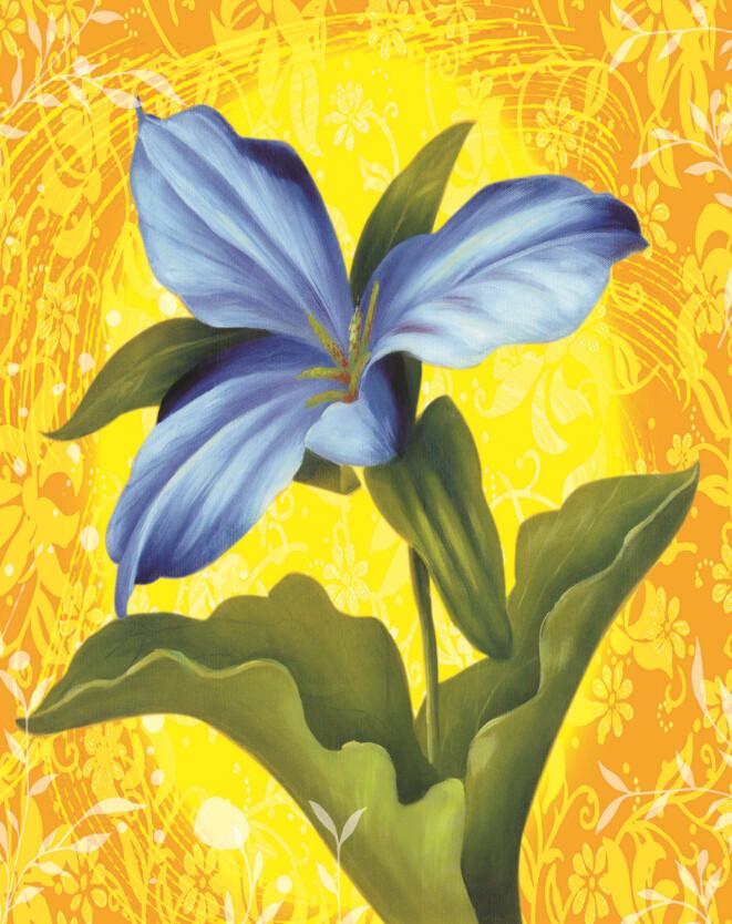 Blue Flower Plant Wallpaper AJ Wallpaper