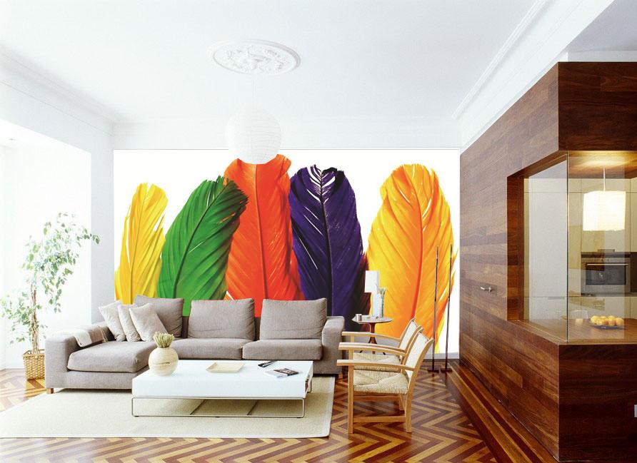 Colorful Feathers 1 Wallpaper AJ Wallpaper