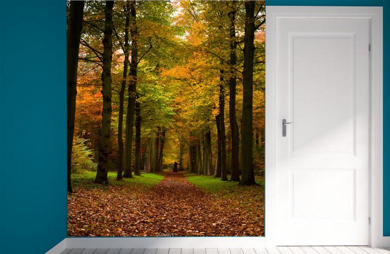 Mountain Path Wallpaper AJ Wallpaper