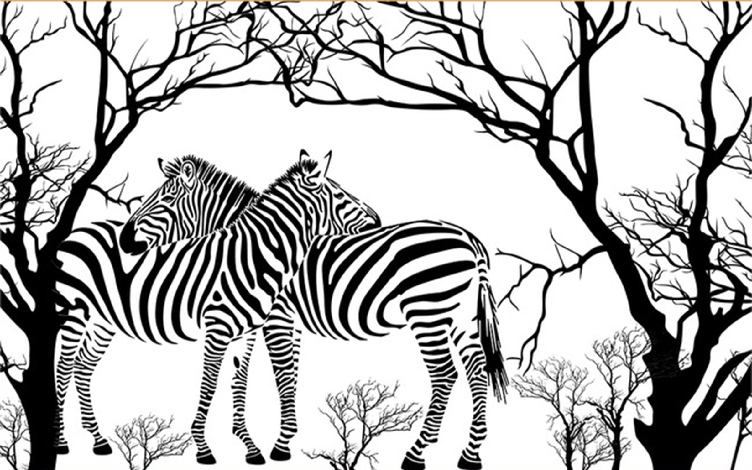 3D Zebra 355 Wall Murals Wallpaper AJ Wallpaper 2