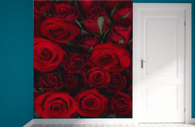 Flaming Roses Wallpaper AJ Wallpaper