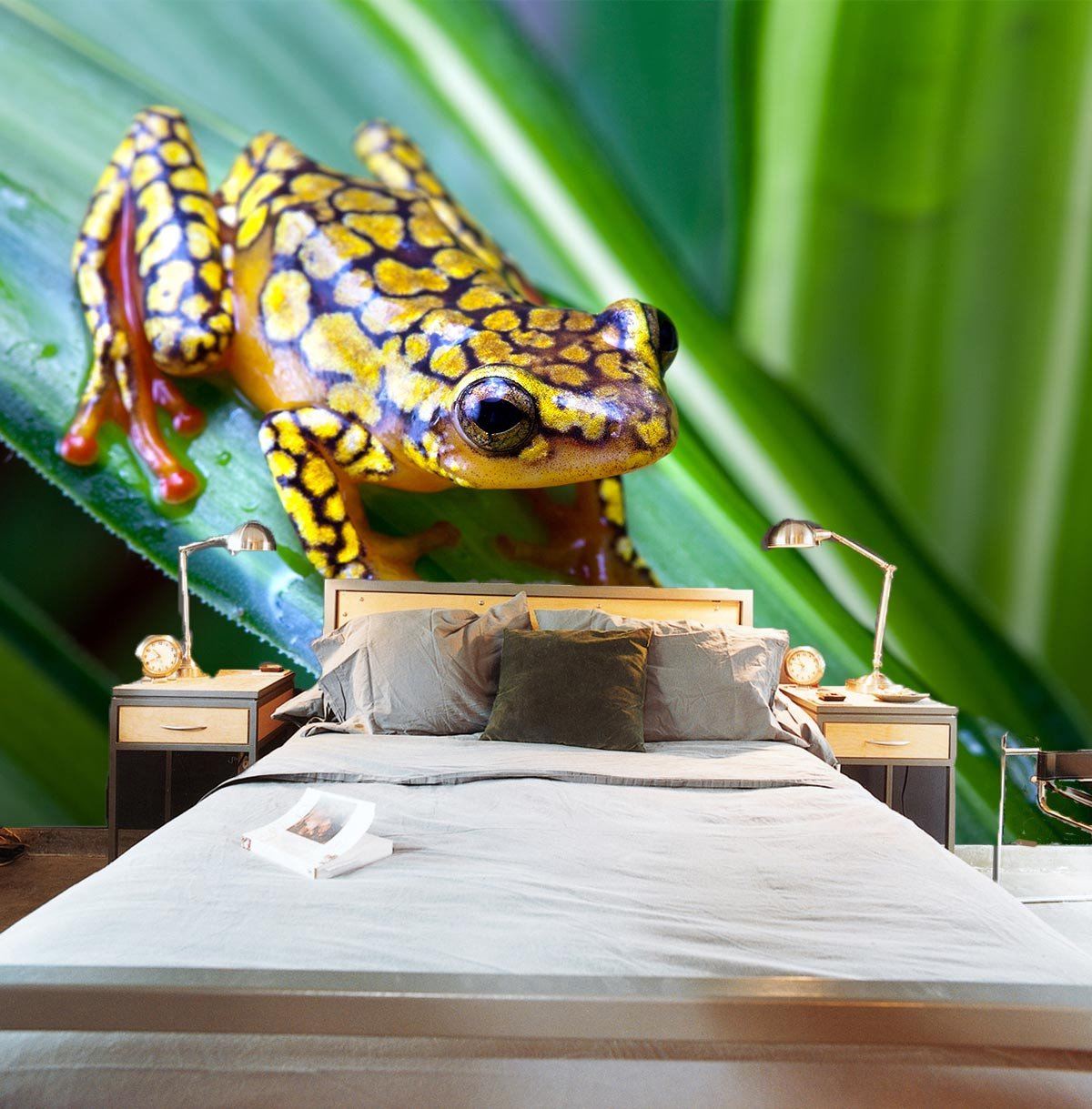 Colorful Frog Wallpaper AJ Wallpaper