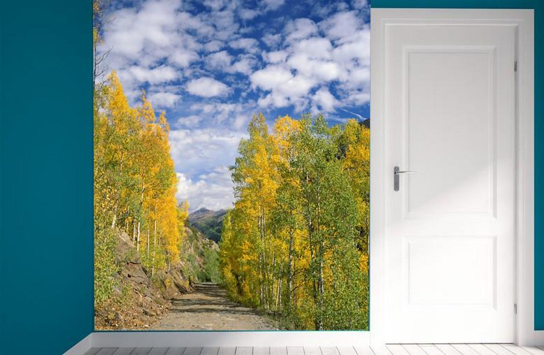 Wild Mud Road 1 Wallpaper AJ Wallpaper