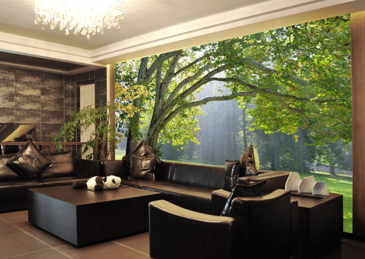 Big Green Trees 1 Wallpaper AJ Wallpaper