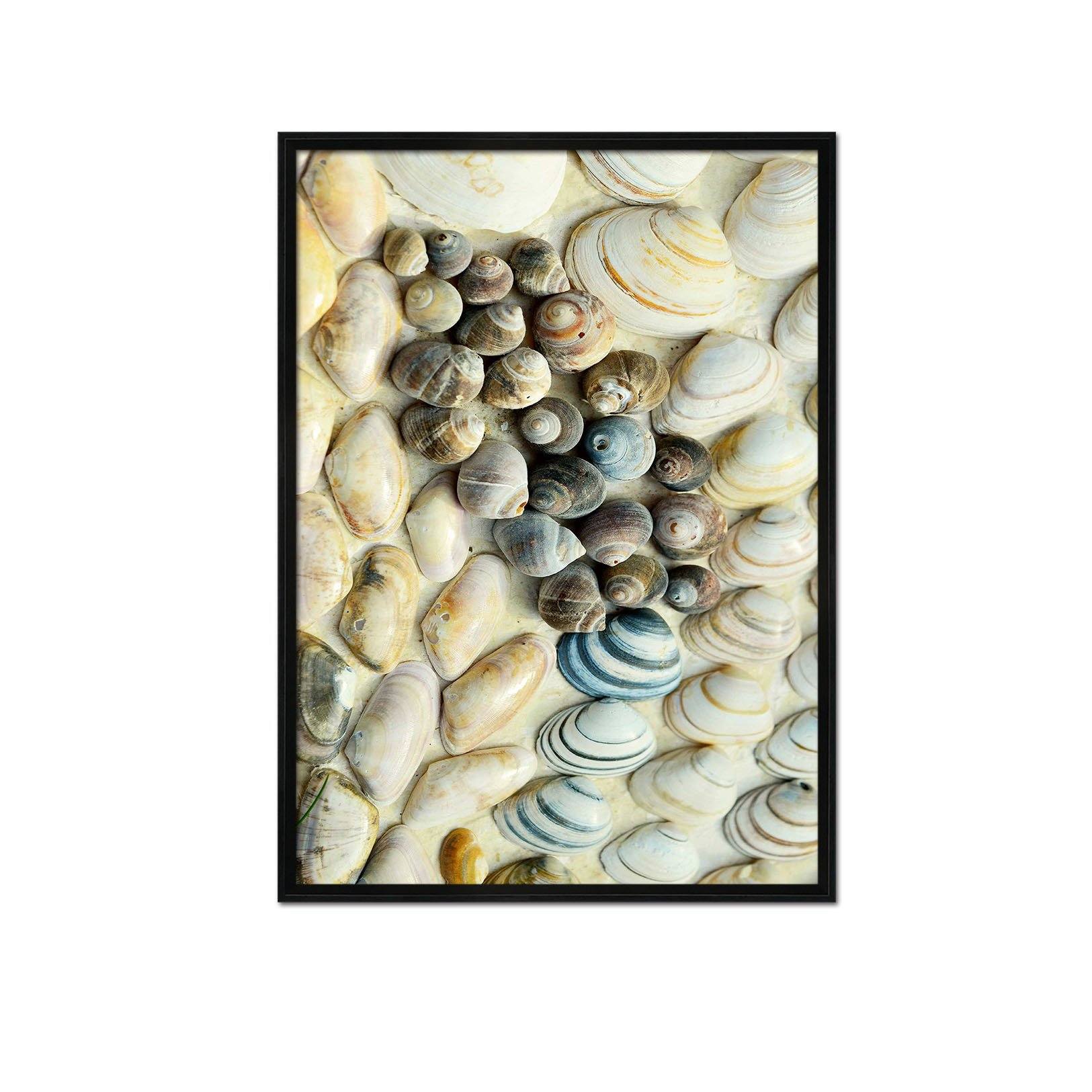 3D Neat Shells 097 Fake Framed Print Painting Wallpaper AJ Creativity Home