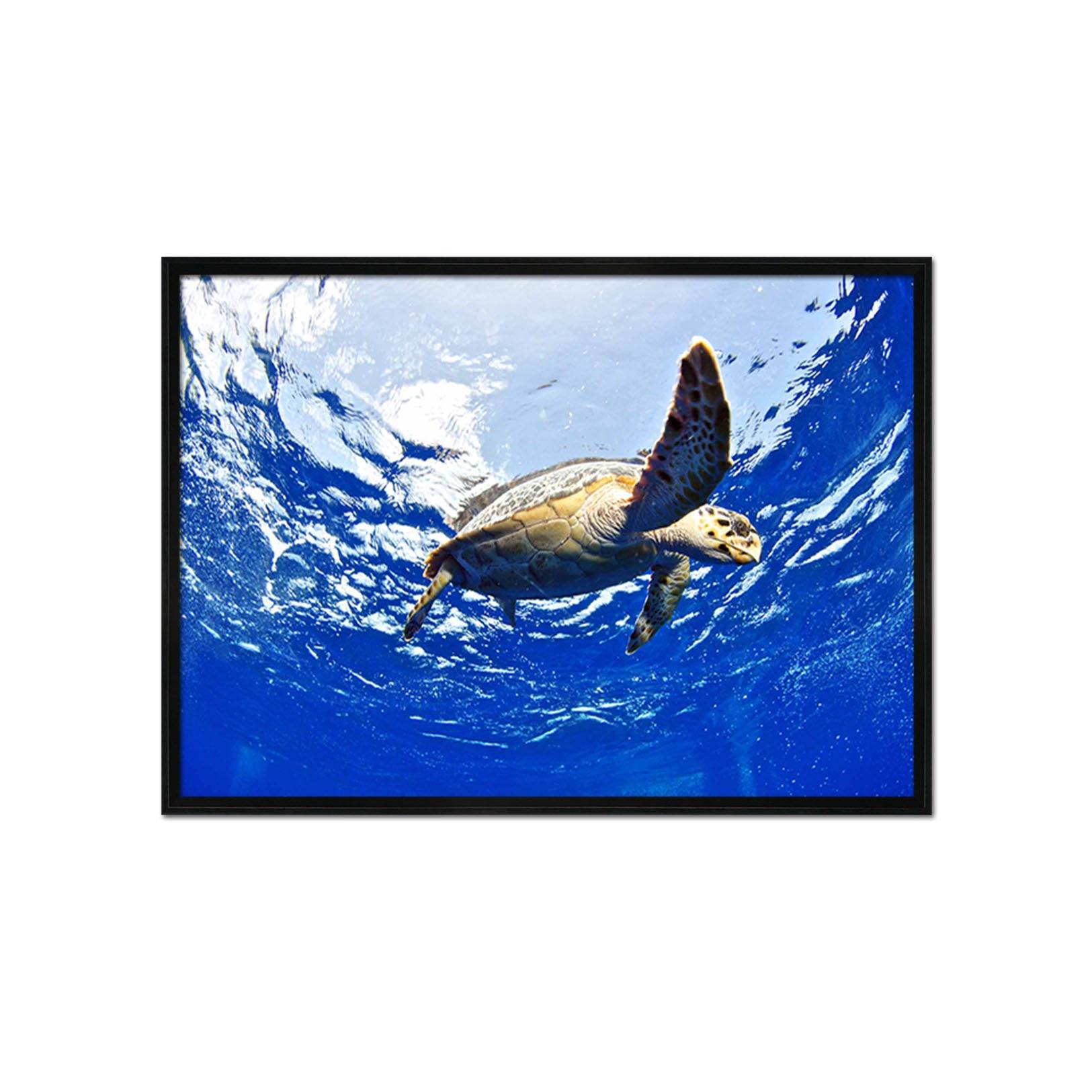 3D Turtle Tour 082 Fake Framed Print Painting Wallpaper AJ Creativity Home