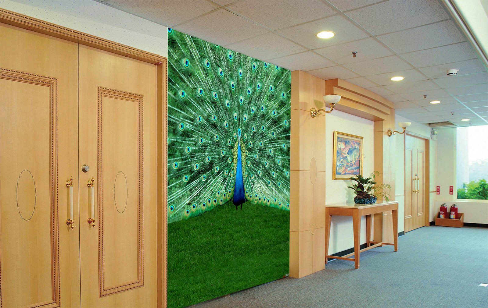 Peacock Spreading Tail 1 Wallpaper AJ Wallpaper