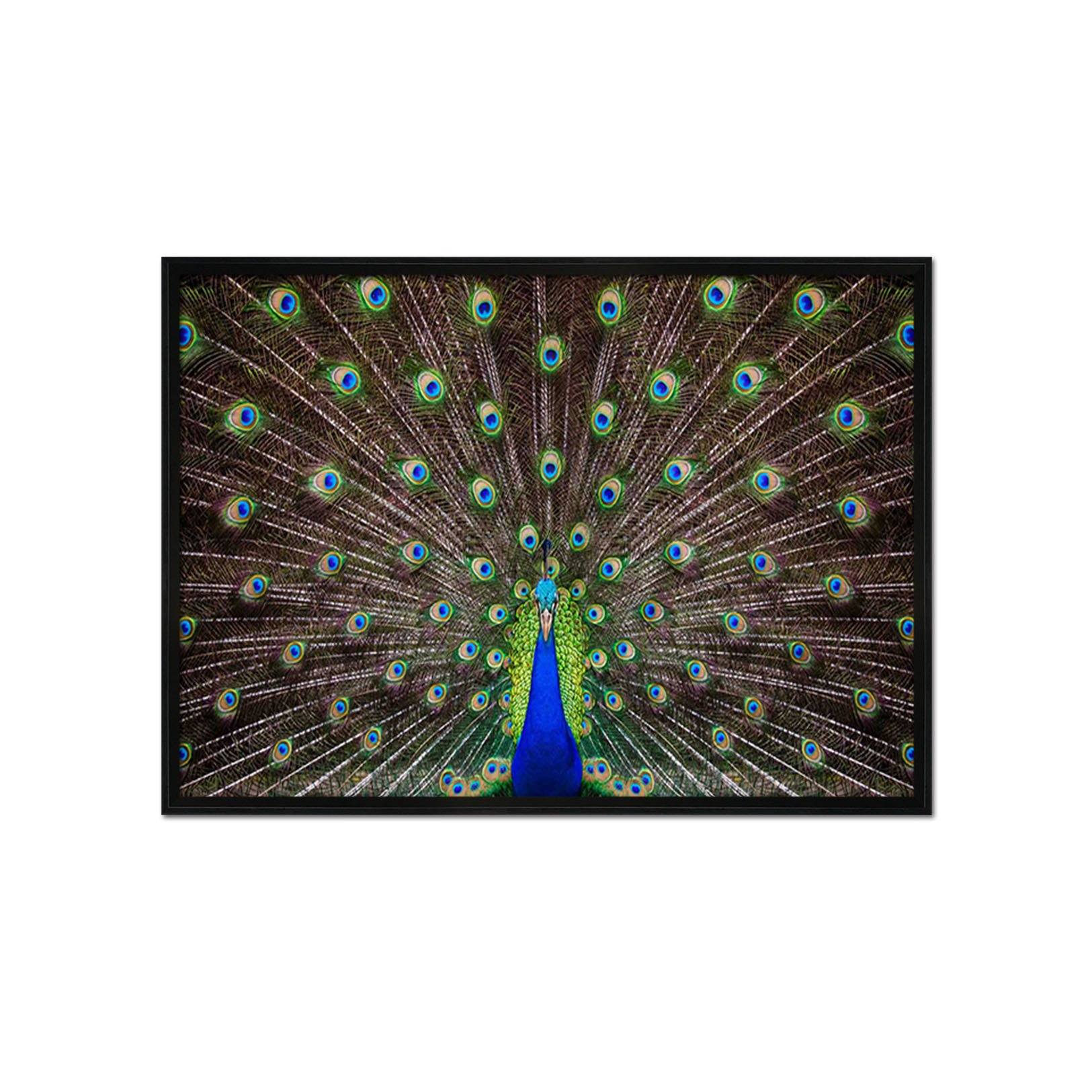 3D Peacock Open Screen 081 Fake Framed Print Painting Wallpaper AJ Creativity Home