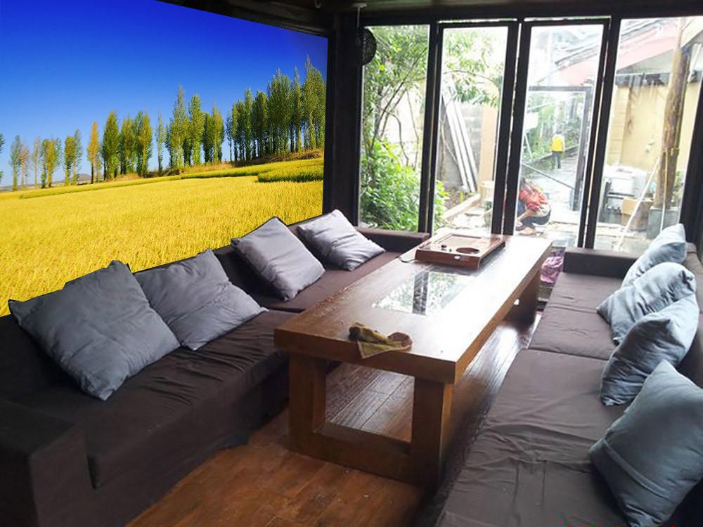 Rice Field Wallpaper AJ Wallpaper