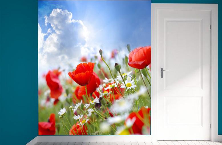 Beautiful Flowers 1 Wallpaper AJ Wallpaper