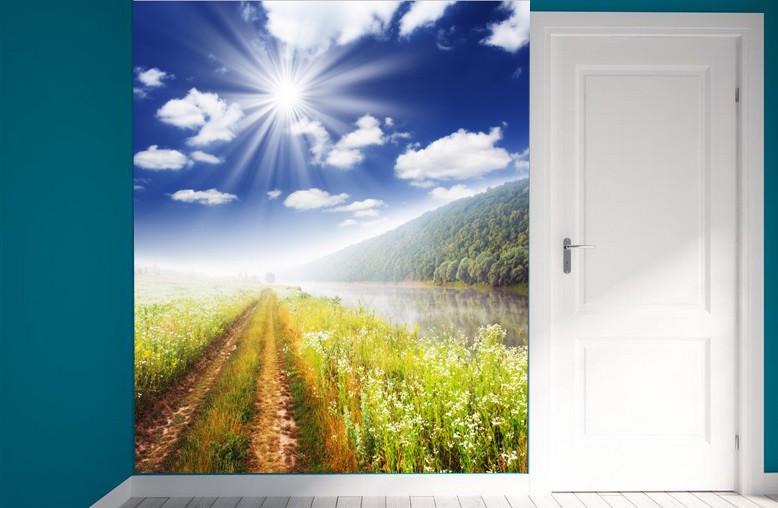 Wild Mud Road Wallpaper AJ Wallpaper