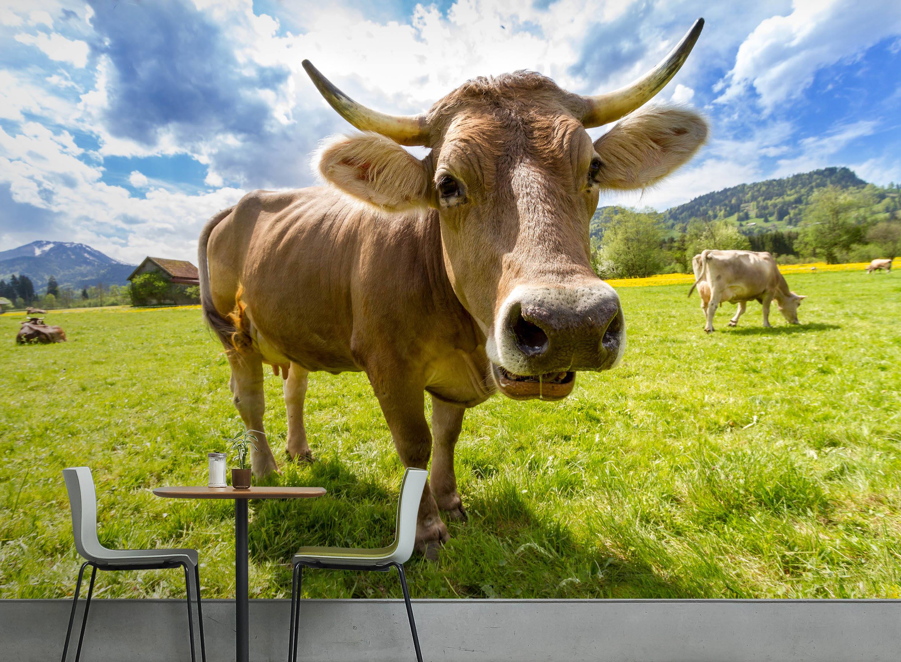 3D Prairie Cow 128 Wallpaper AJ Wallpaper
