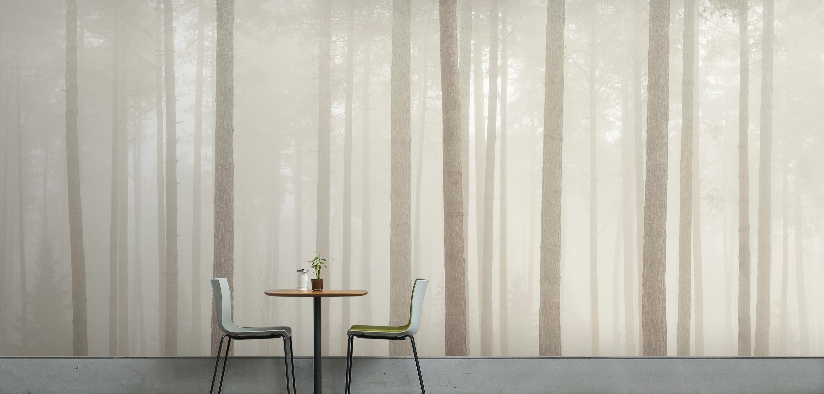 3D Forest Trunk 6286 Assaf Frank Wall Mural Wall Murals
