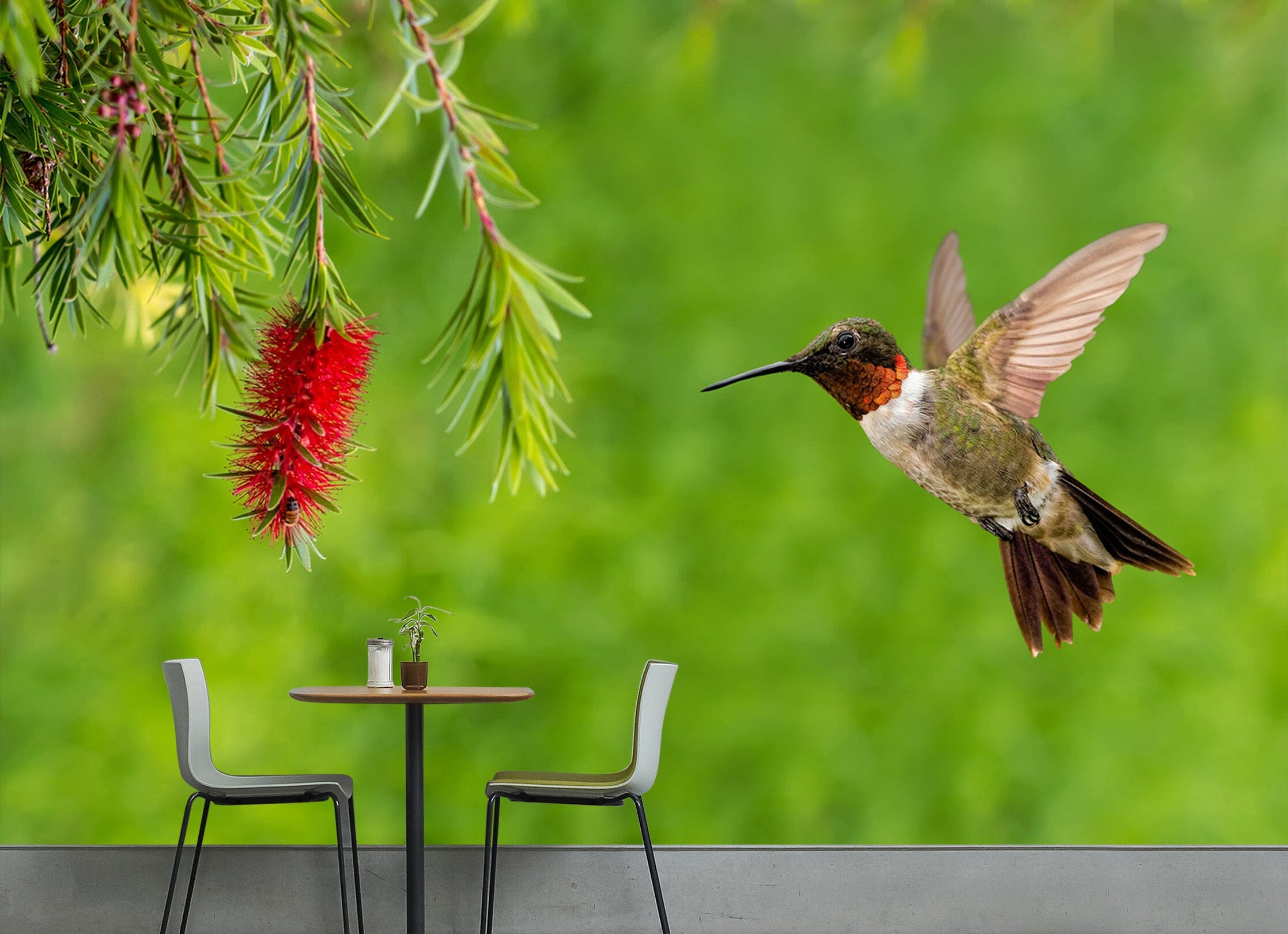 3D Magpie Grass 126 Wall Murals Wallpaper AJ Wallpaper 2