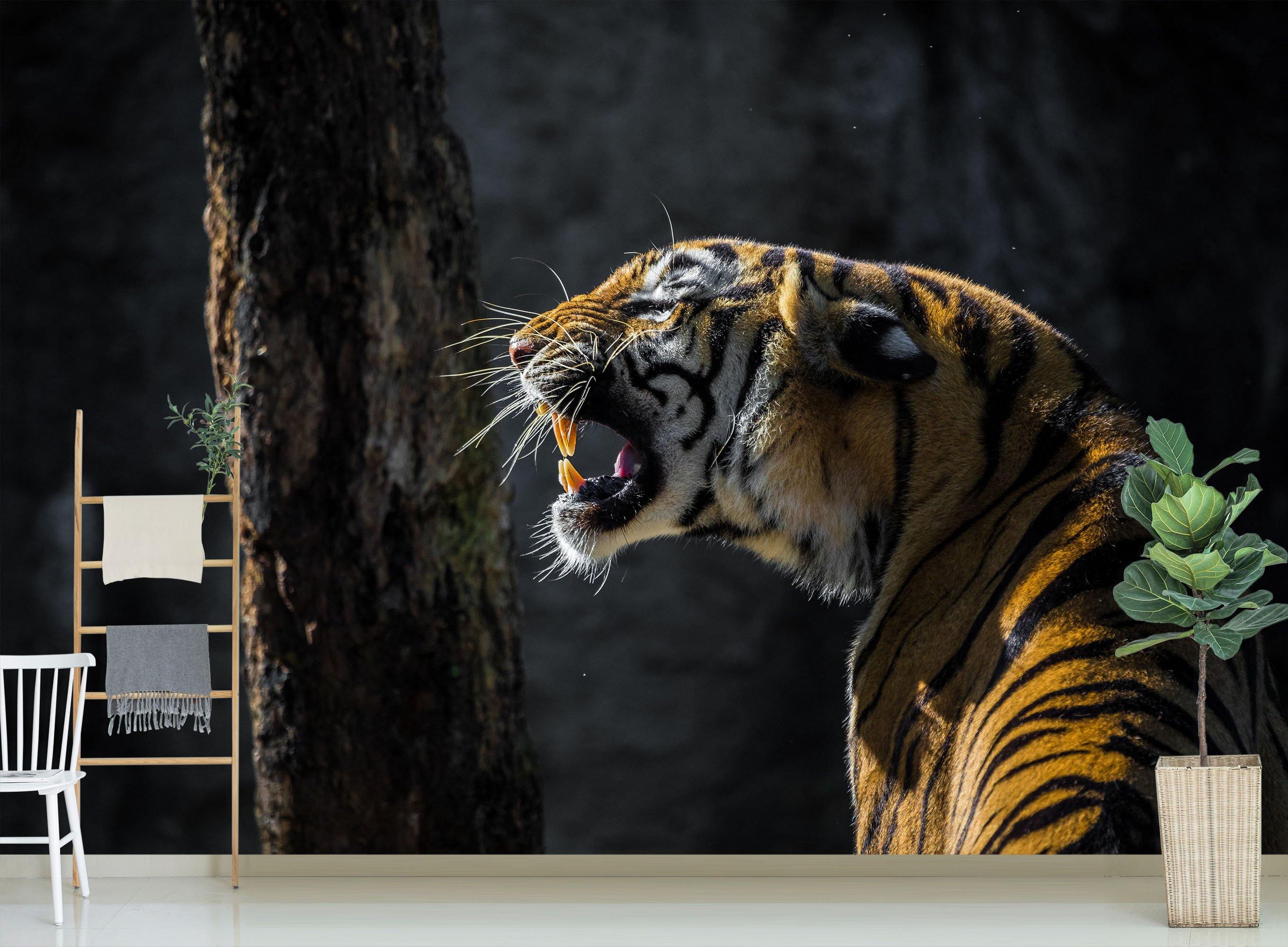 3D Tiger Cub 244 Wallpaper AJ Wallpaper