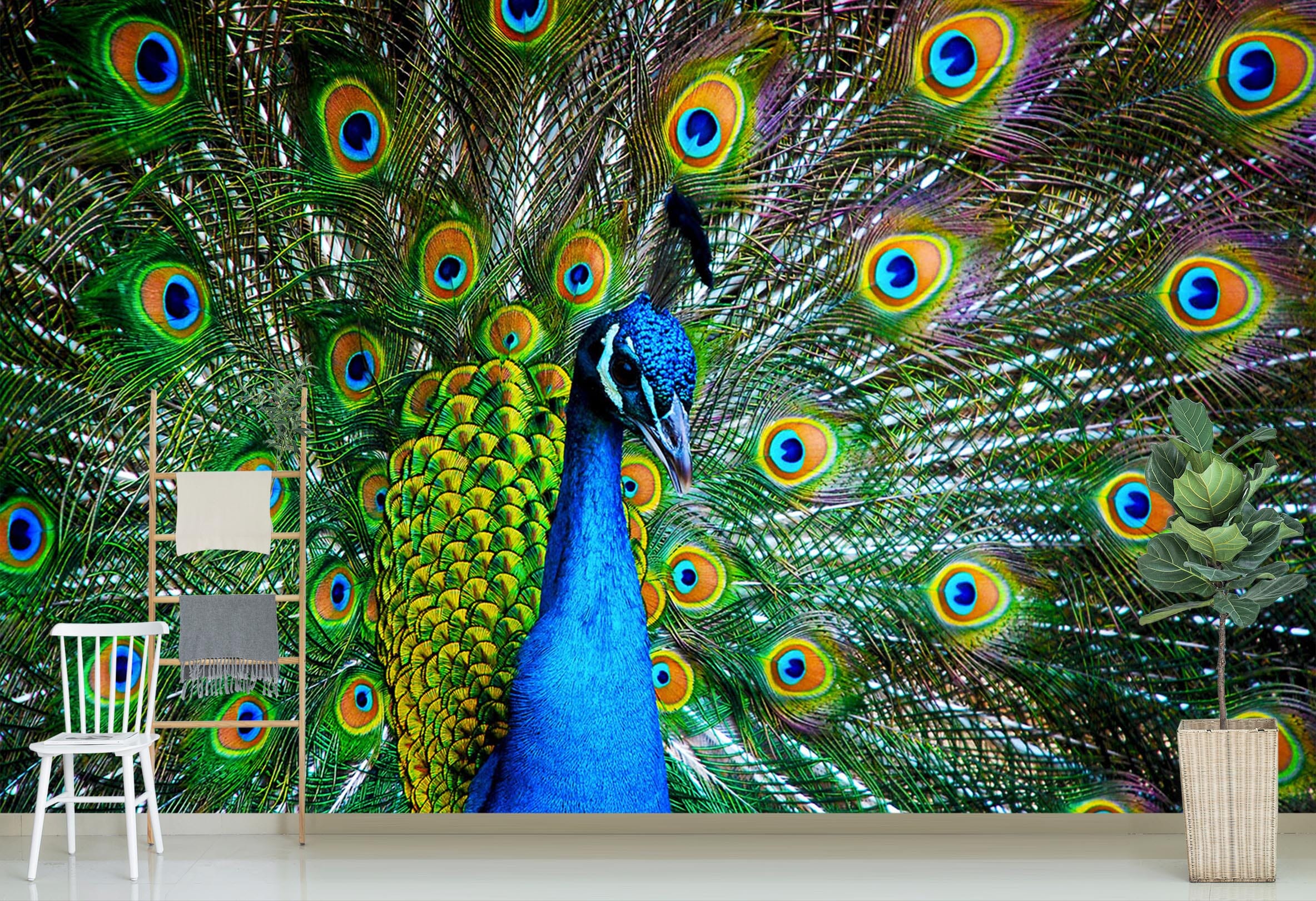 3D Peacock Opening 110 Wall Murals Wallpaper AJ Wallpaper 2