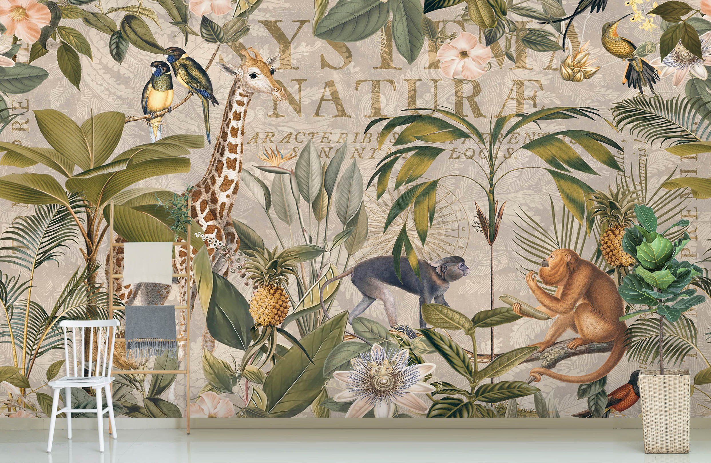 3D Animal Forest 1430 Andrea haase Wall Mural Wall Murals Wallpaper AJ Wallpaper 2