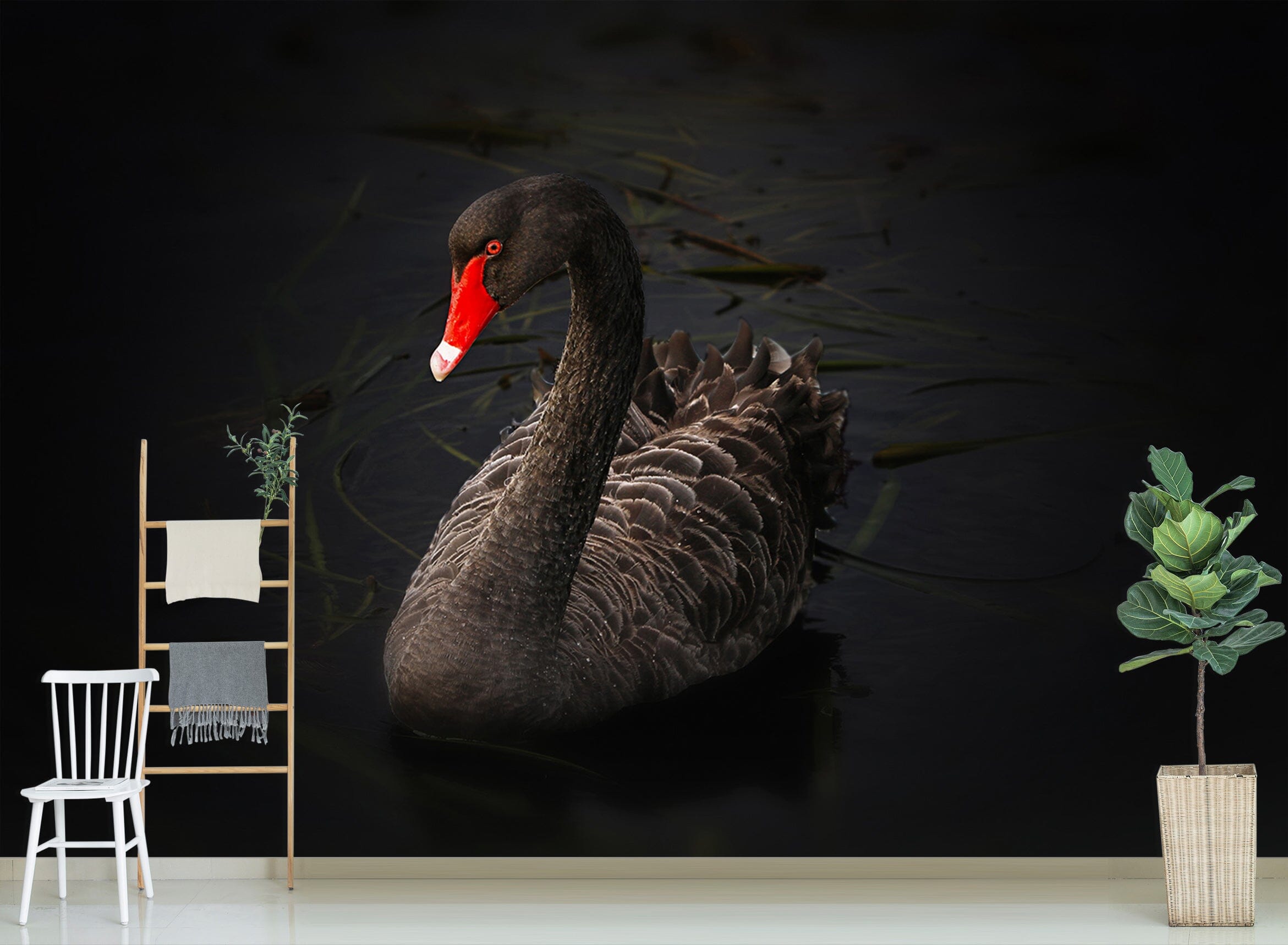 3D Black Swan 144 Wall Murals Wallpaper AJ Wallpaper 2