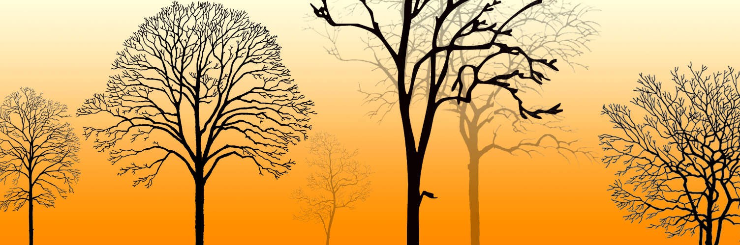 Grace Trees Wallpaper AJ Wallpaper