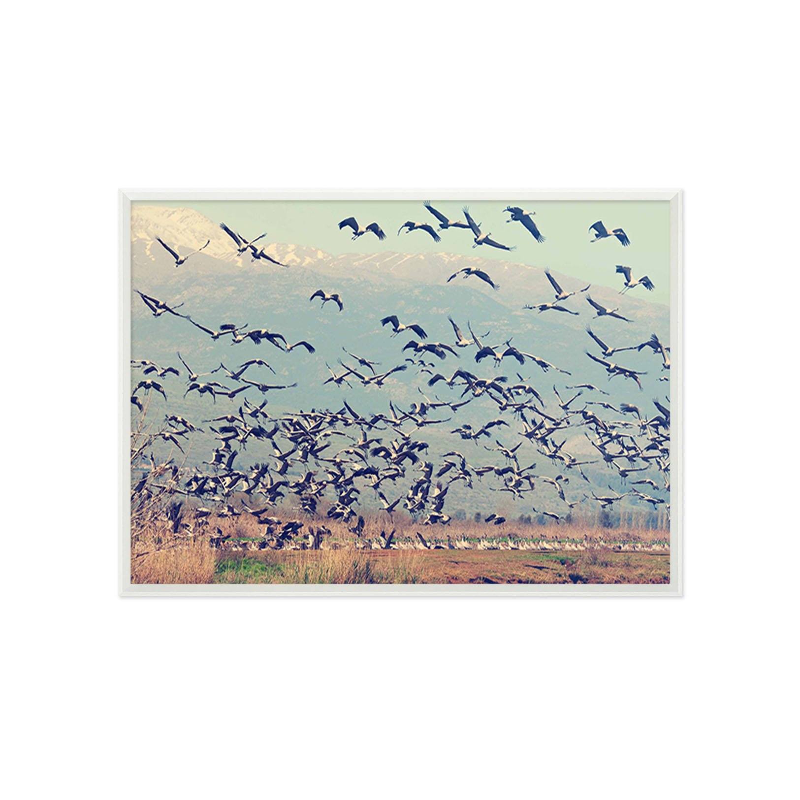 3D Geese South Fly 200 Fake Framed Print Painting Wallpaper AJ Creativity Home