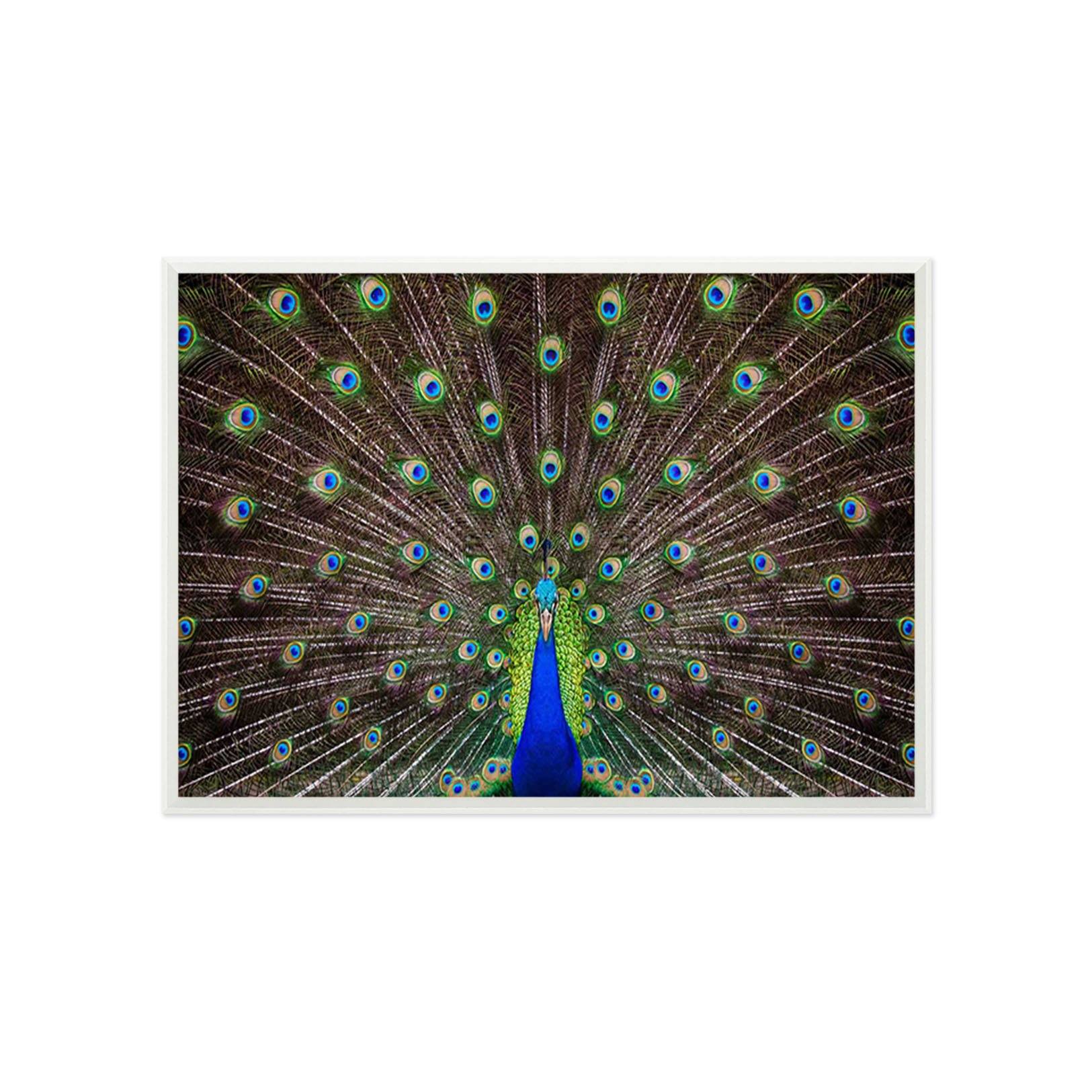 3D Peacock Open Screen 081 Fake Framed Print Painting Wallpaper AJ Creativity Home