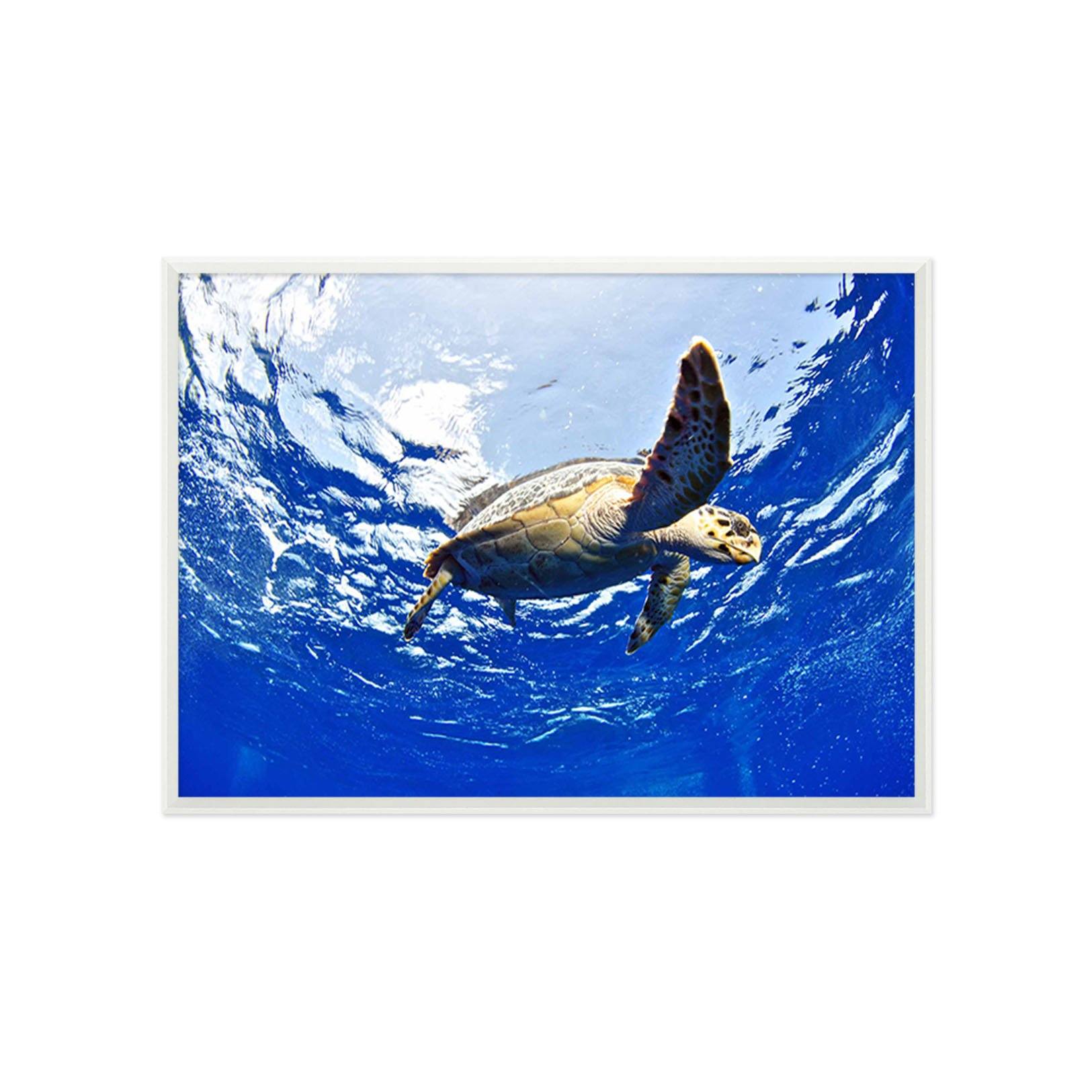 3D Turtle Tour 082 Fake Framed Print Painting Wallpaper AJ Creativity Home