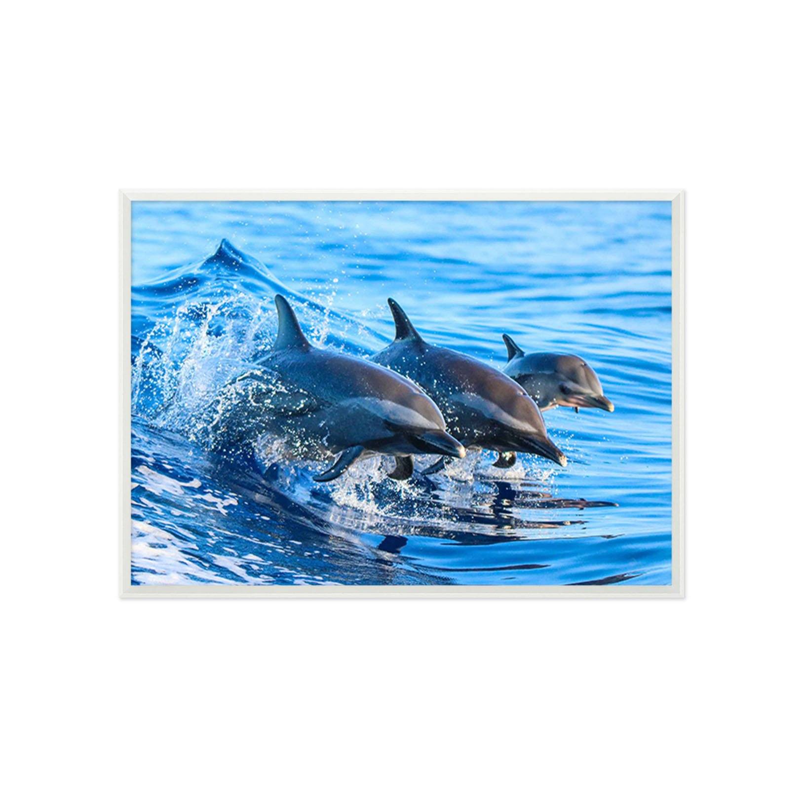 3D Lively Dolphins 194 Fake Framed Print Painting Wallpaper AJ Creativity Home