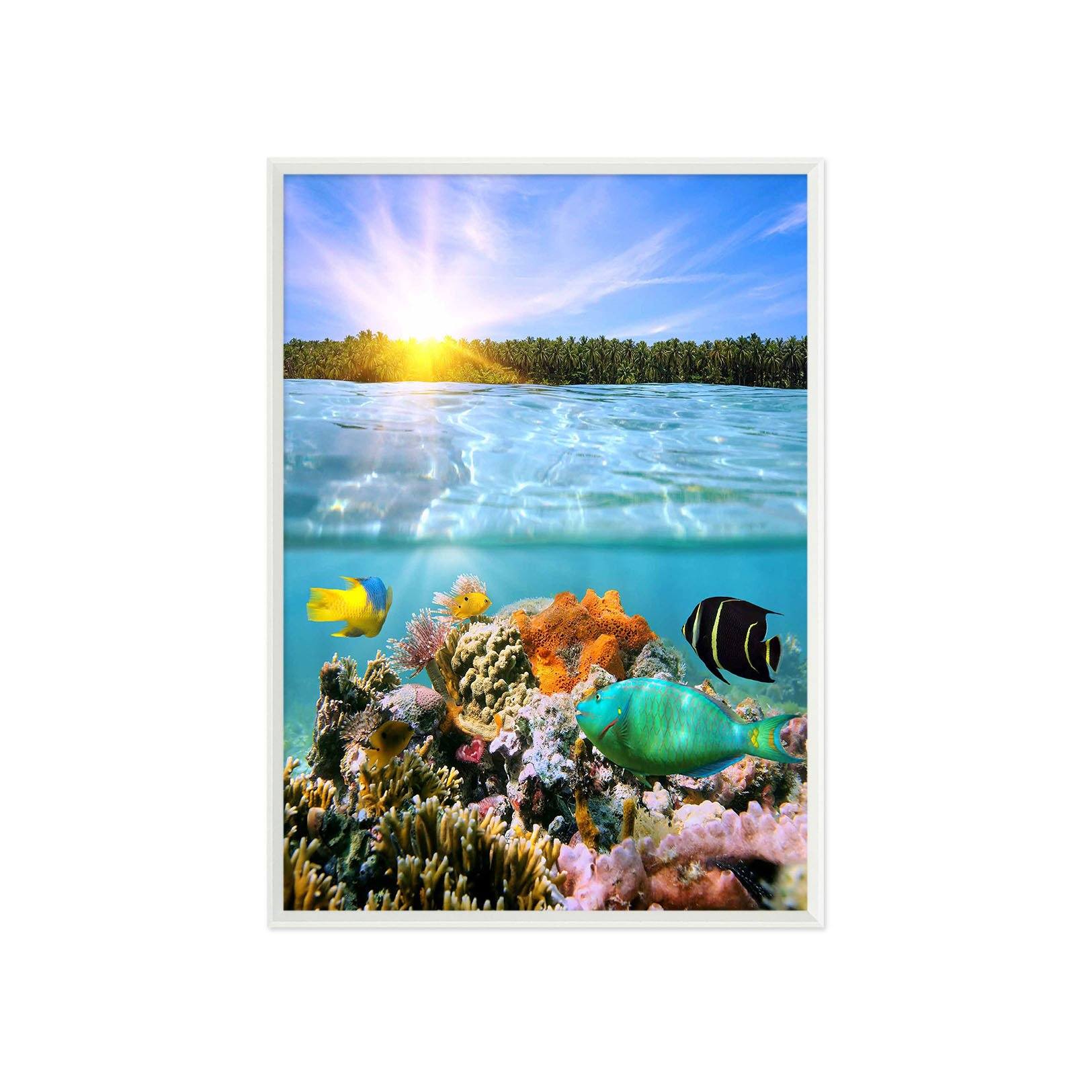 3D Coral Fish 053 Fake Framed Print Painting Wallpaper AJ Creativity Home