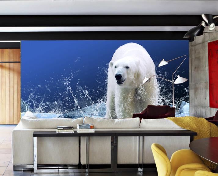 Snow-white Bear Wallpaper AJ Wallpaper