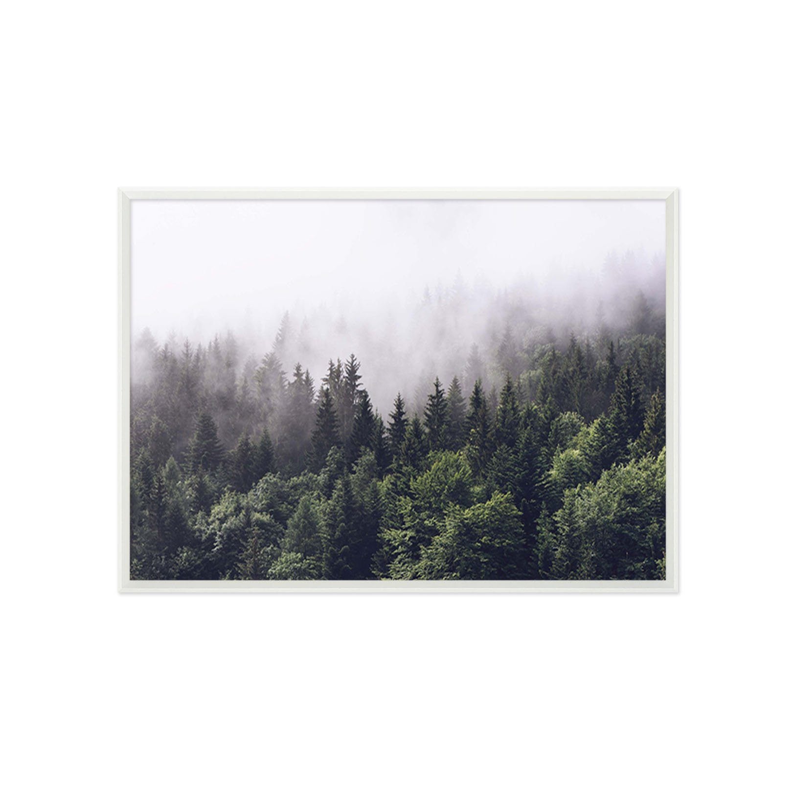 3D Dense Forest 093 Fake Framed Print Painting Wallpaper AJ Creativity Home