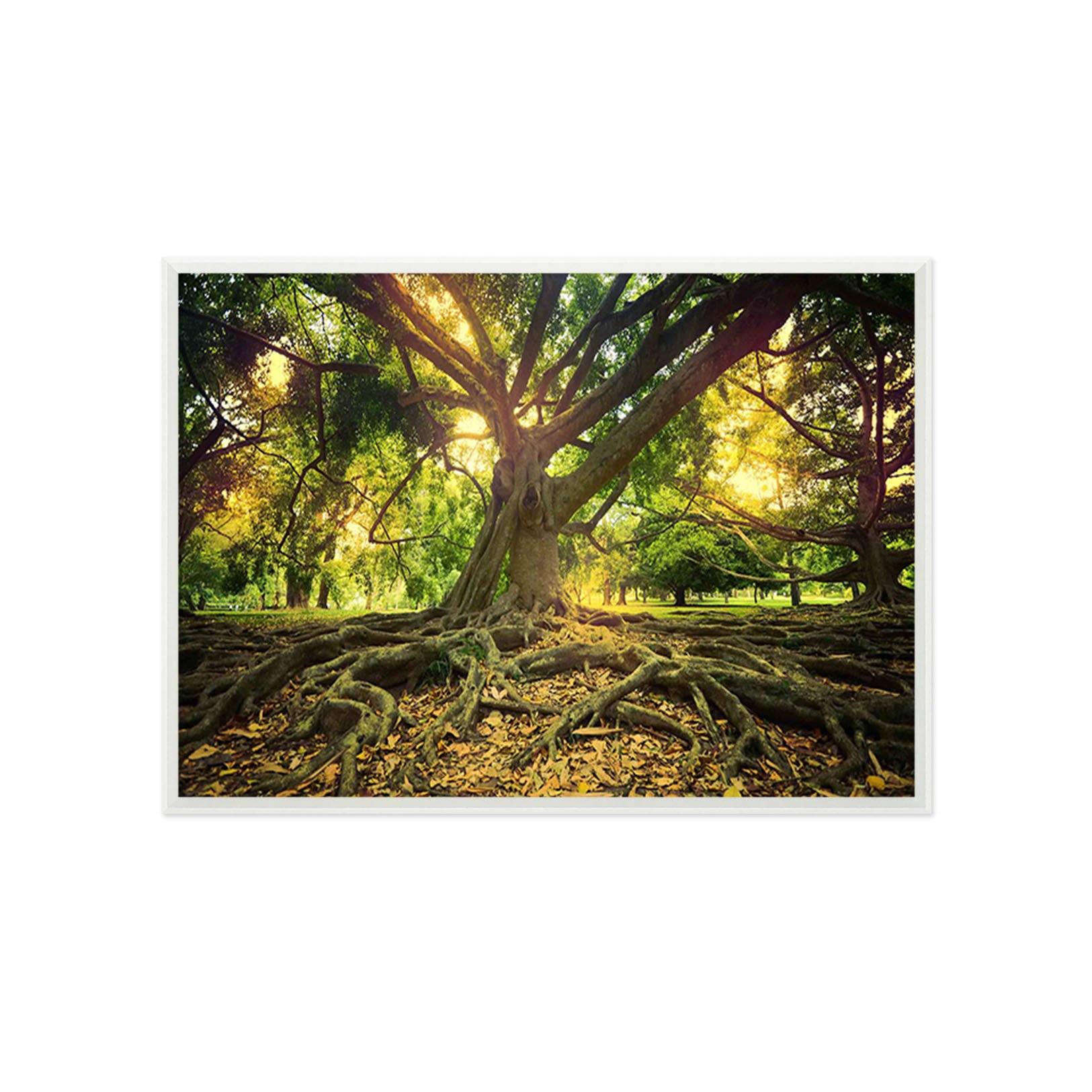 3D Giant Trees 013 Fake Framed Print Painting Wallpaper AJ Creativity Home