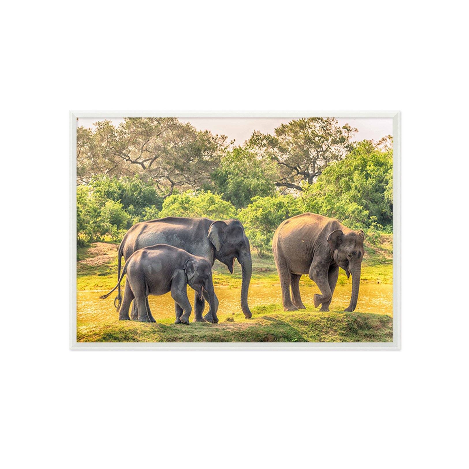 3D Elephant Walking 060 Fake Framed Print Painting Wallpaper AJ Creativity Home