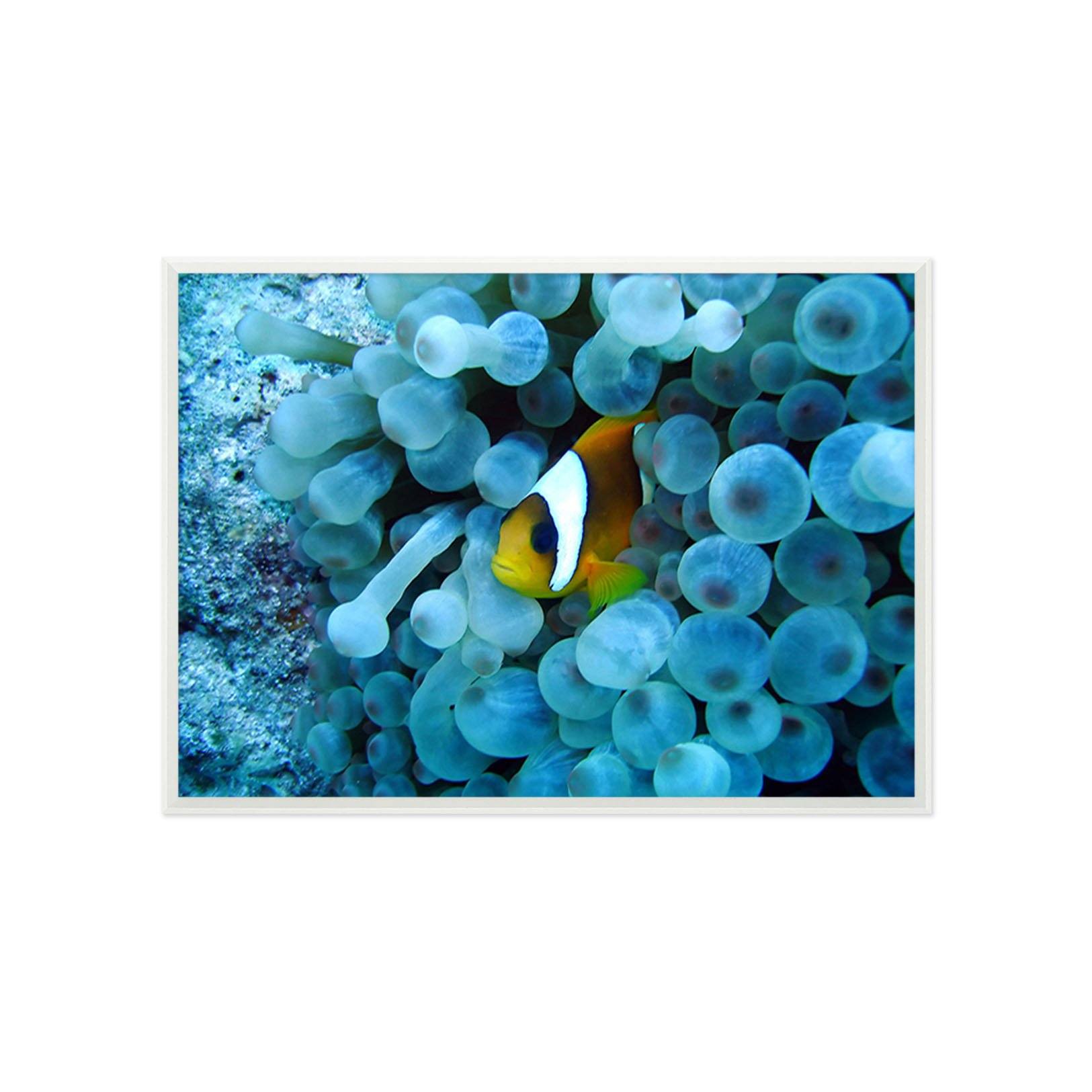 3D Submarine Fish 053 Fake Framed Print Painting Wallpaper AJ Creativity Home